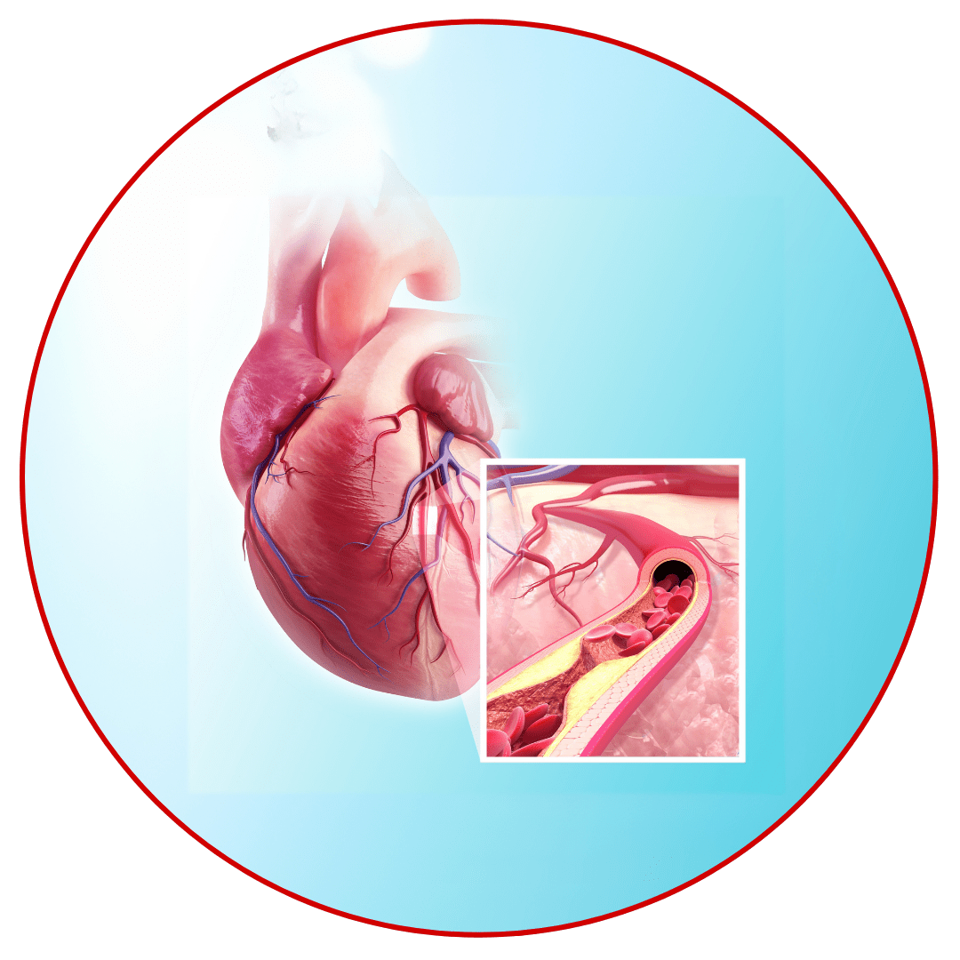 Key Benefits of Cardio Shield 3
